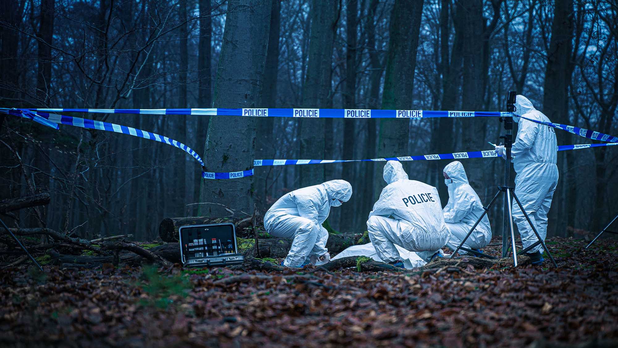 Mörderische Wahrheit: ZDF startet True-Crime-Doku-Reihe