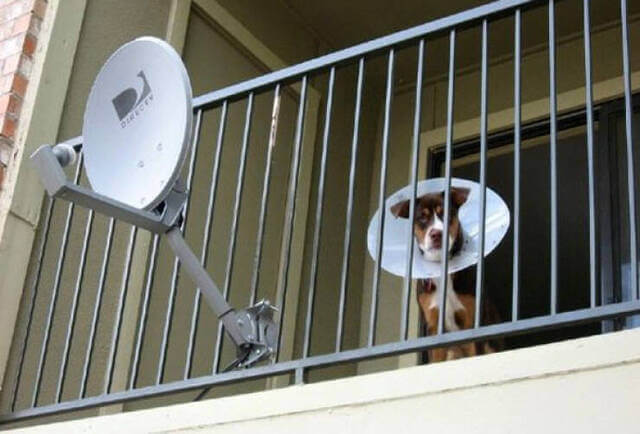 serieslyAWESOME.tv-picdump_serienbilderparade-118_24