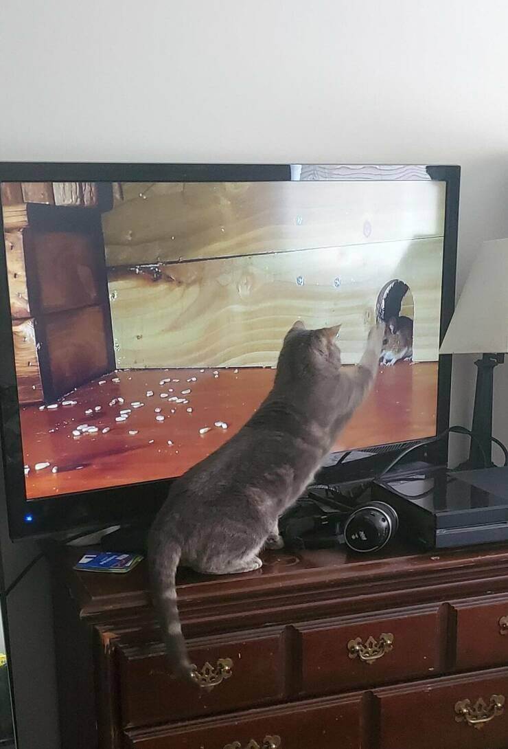 serieslyAWESOME.tv-picdump_serienbilderparade-119_03