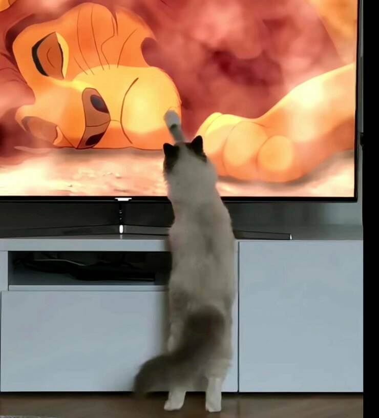 serieslyAWESOME.tv-picdump_serienbilderparade-119_46