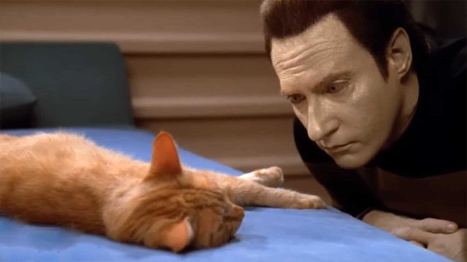 Star Trek: Supercut voll Szenen mit Katze Spot