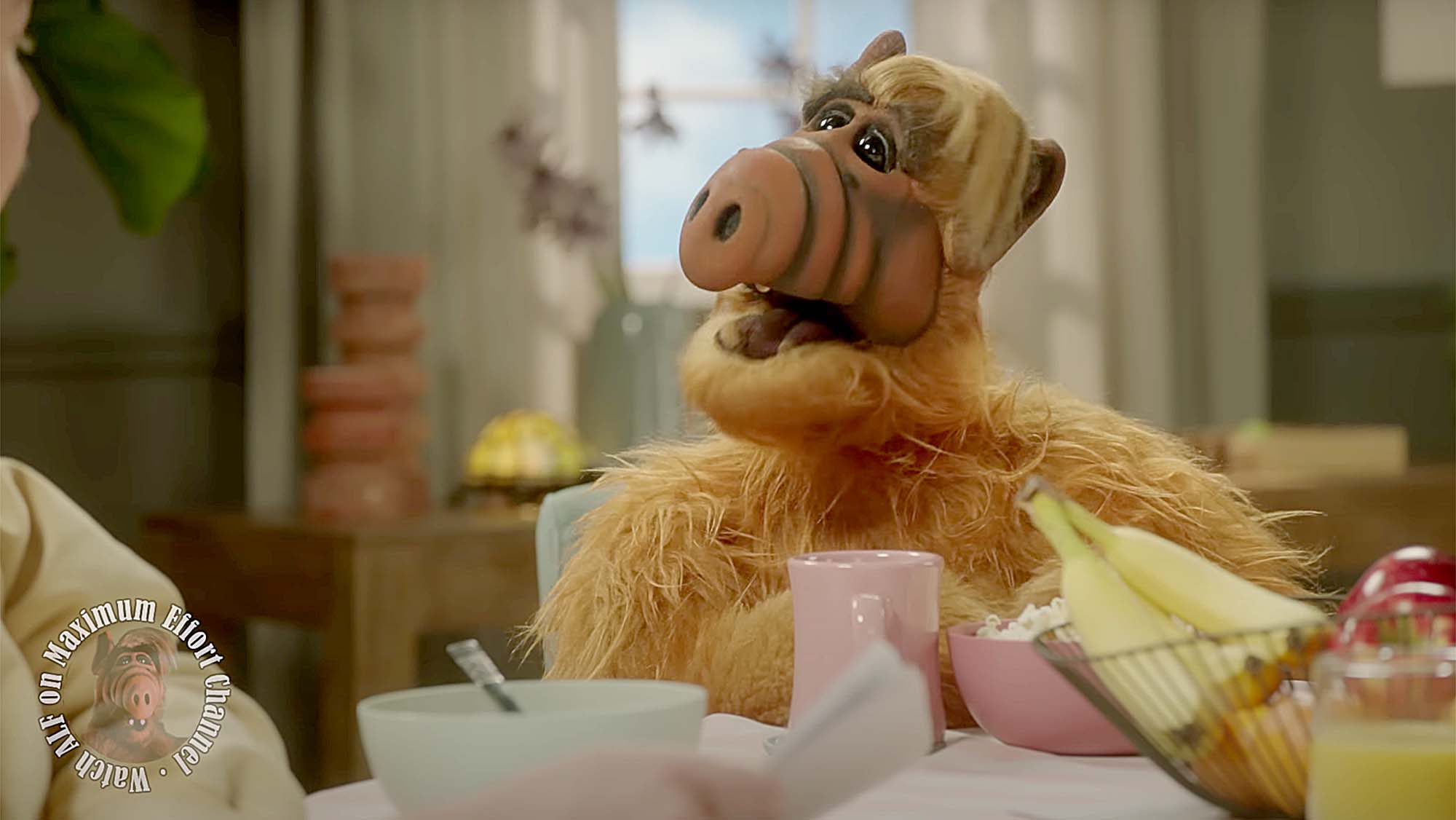 ALF-Ryan-Reynolds-Maximum-Effort-Channel
