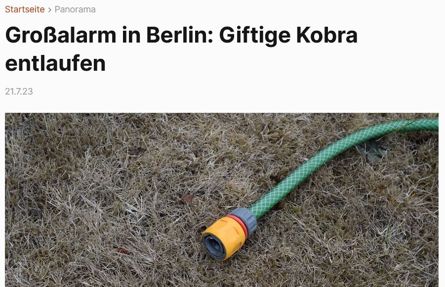 kobra