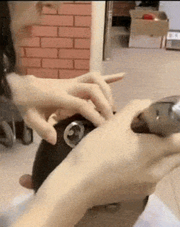 SBP-123_30