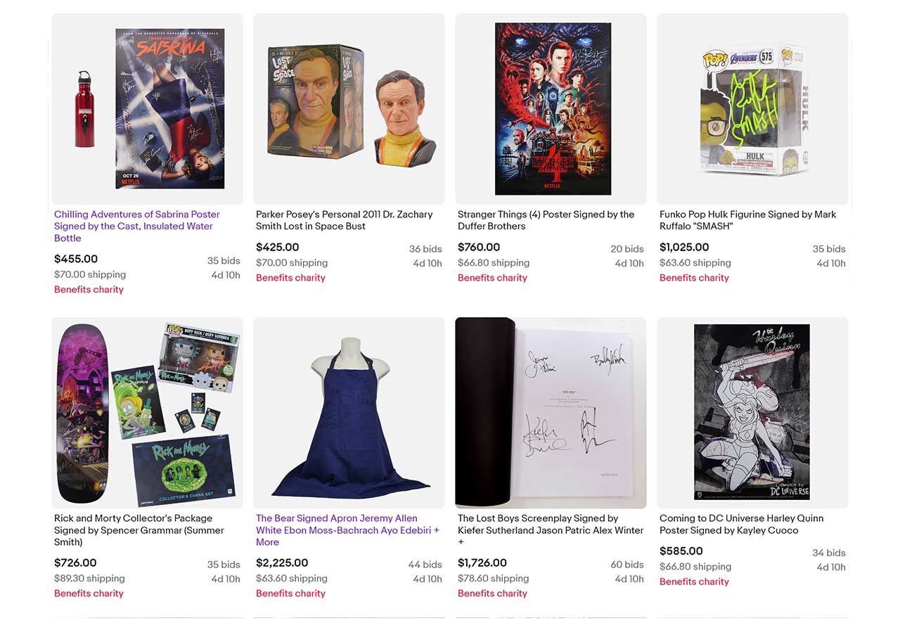 ebay-auktionen-fuer-schauspiel-streik-02