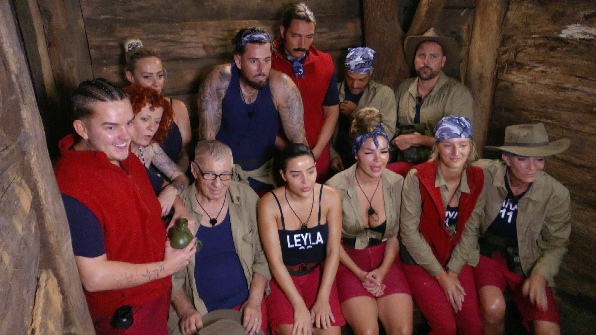 dschungelcamp-rtl-ibes-2024
