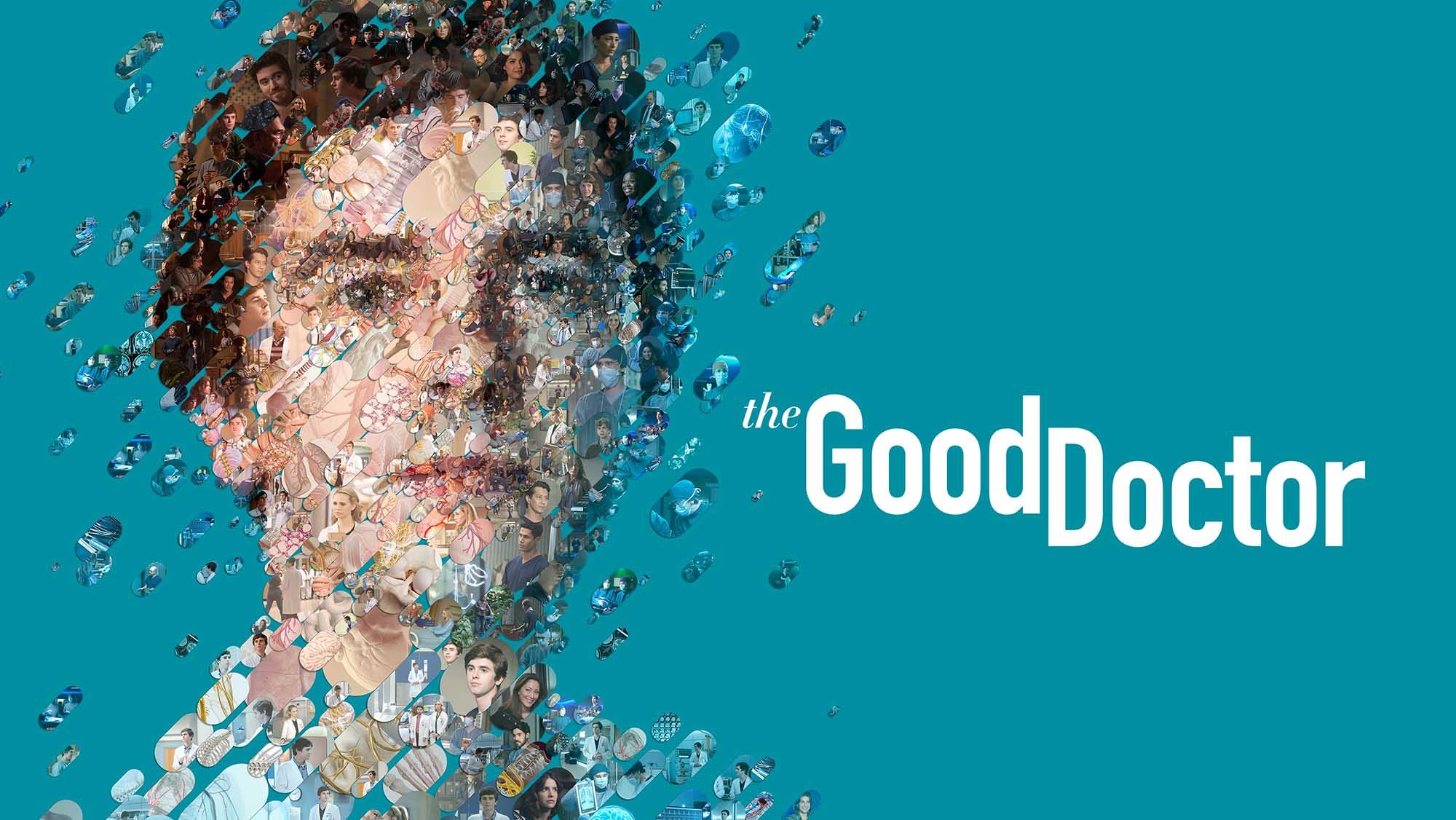 „The Good Doctor“: Alle Infos zur 7. und letzten Staffel der Serie auf Sky / WOW