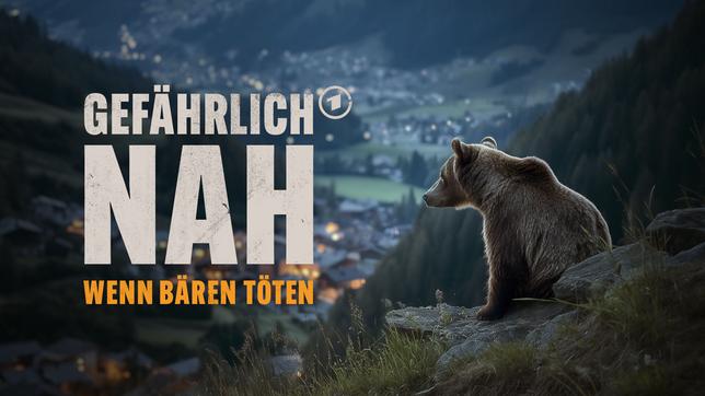 gefaehrlich-nah-ard