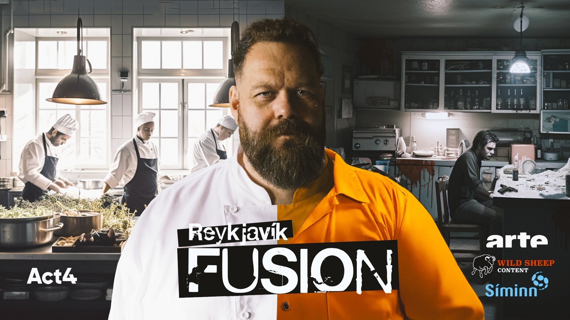 Reykjavik-Fusion-Poster-arte
