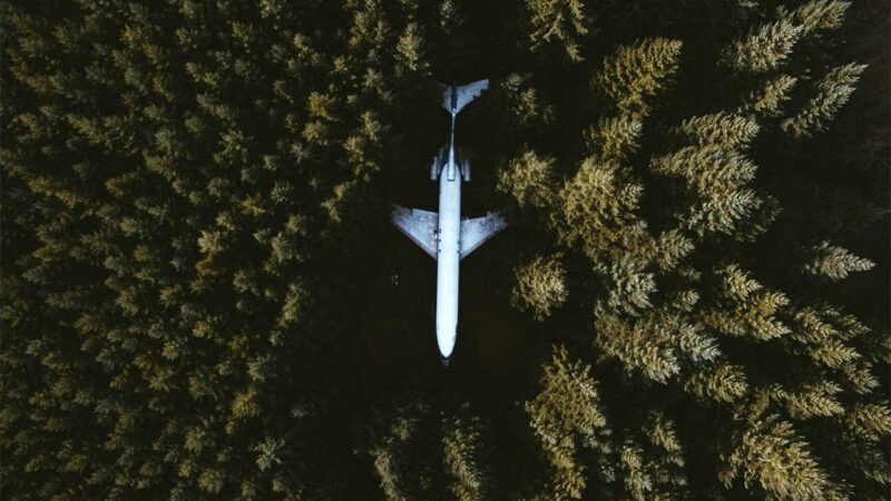 Fliegende Perspektivwechsel: Drohnenaufnahmen in „Adolescence“ & „The Americas“