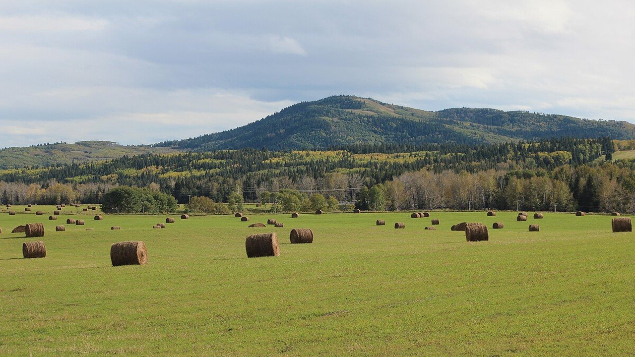 West_of_Millarville_Alberta_Canada_10078052584._K