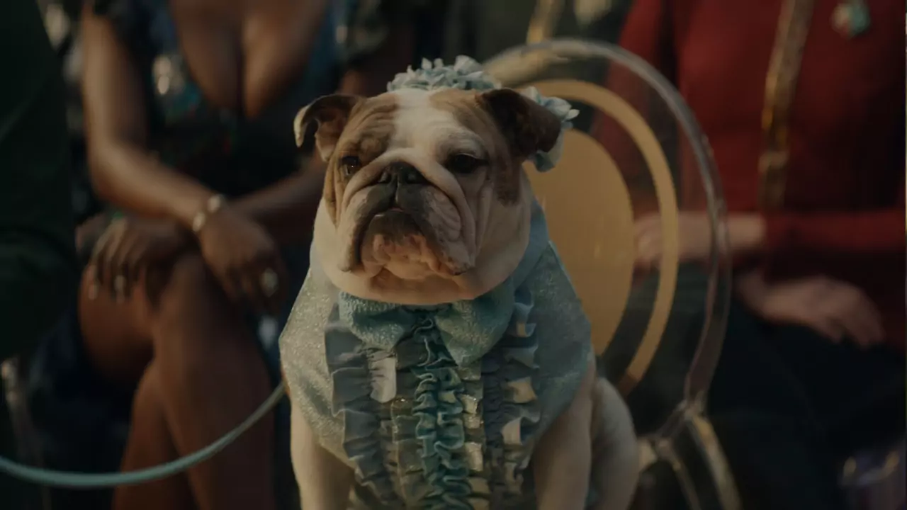 Review: Star Trek Strange New Worlds S03E02 – Hochzeitsglocken‑Blues