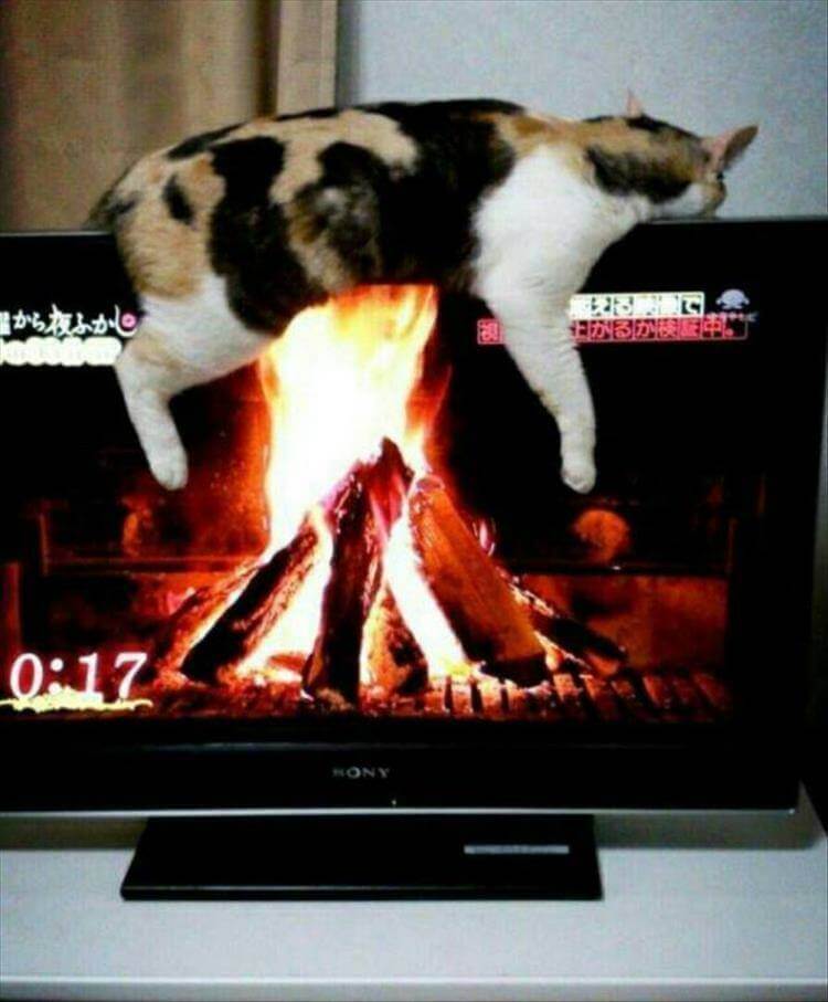 Serienbilderparade #147 SBP147_45