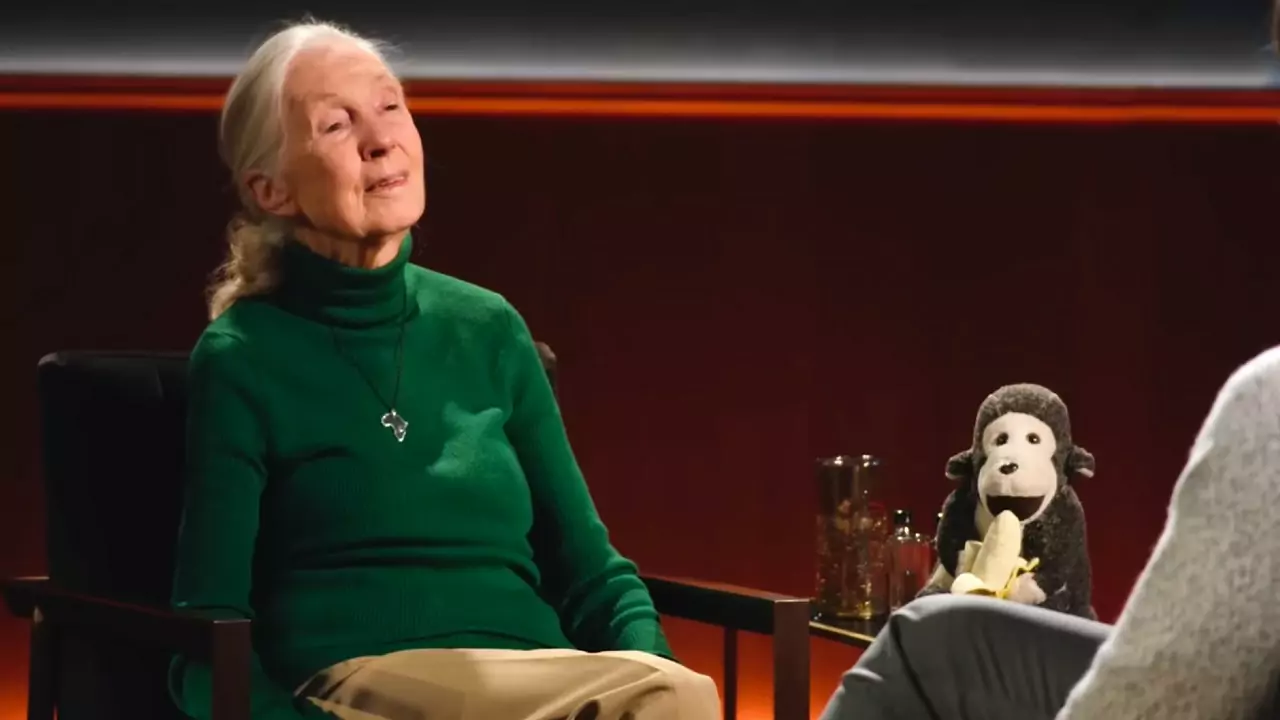 Meine TV-Woche: Jane Goodall & Boykott-Aufrufe