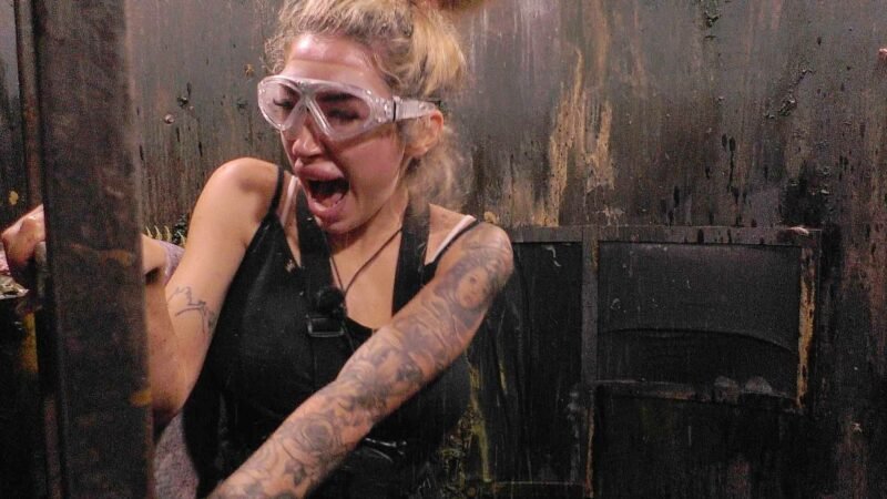 „Ich bin ein Star – Holt mich hier raus!“: Das ist an Tag 2 im Dschungelcamp passiert