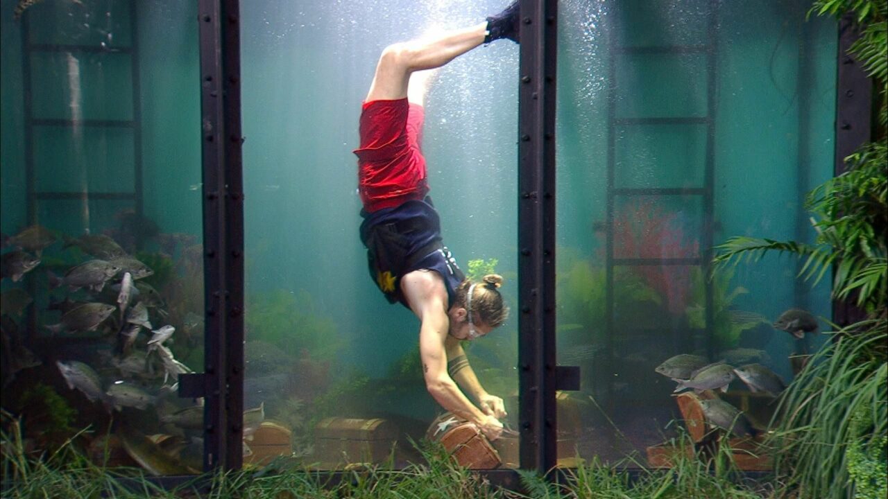 „Ich bin ein Star – Holt mich hier raus!“: Das ist an Tag 10 im Dschungelcamp passiert