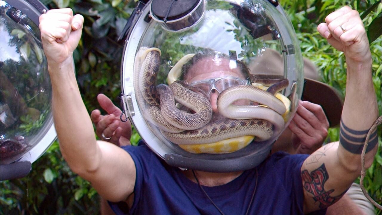 „Ich bin ein Star – Holt mich hier raus!“: Alle Voting-Ergebnisse der Dschungelcamp-Folgen bis zum Finale